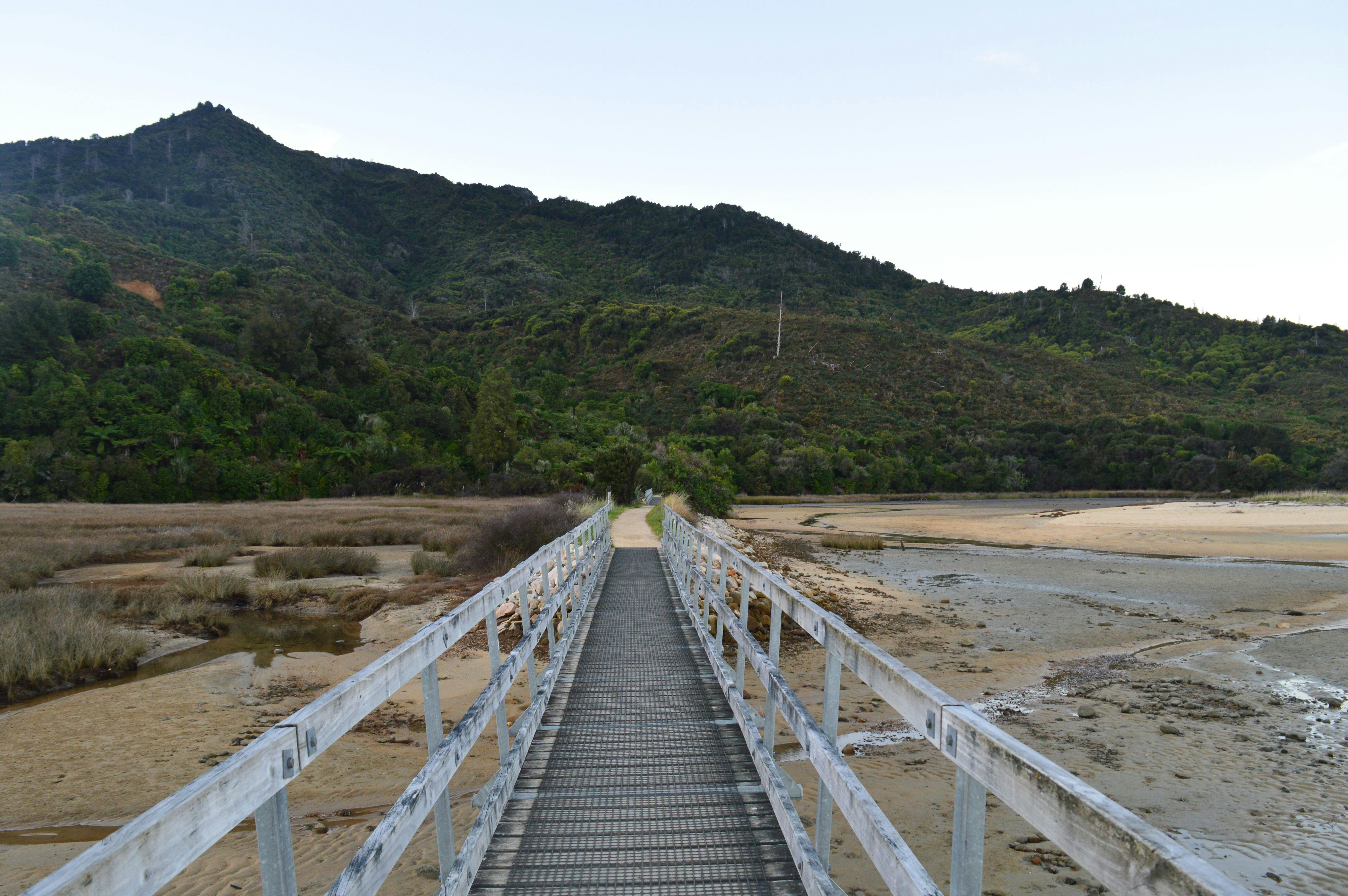 image d'une passerelle en bord de plage