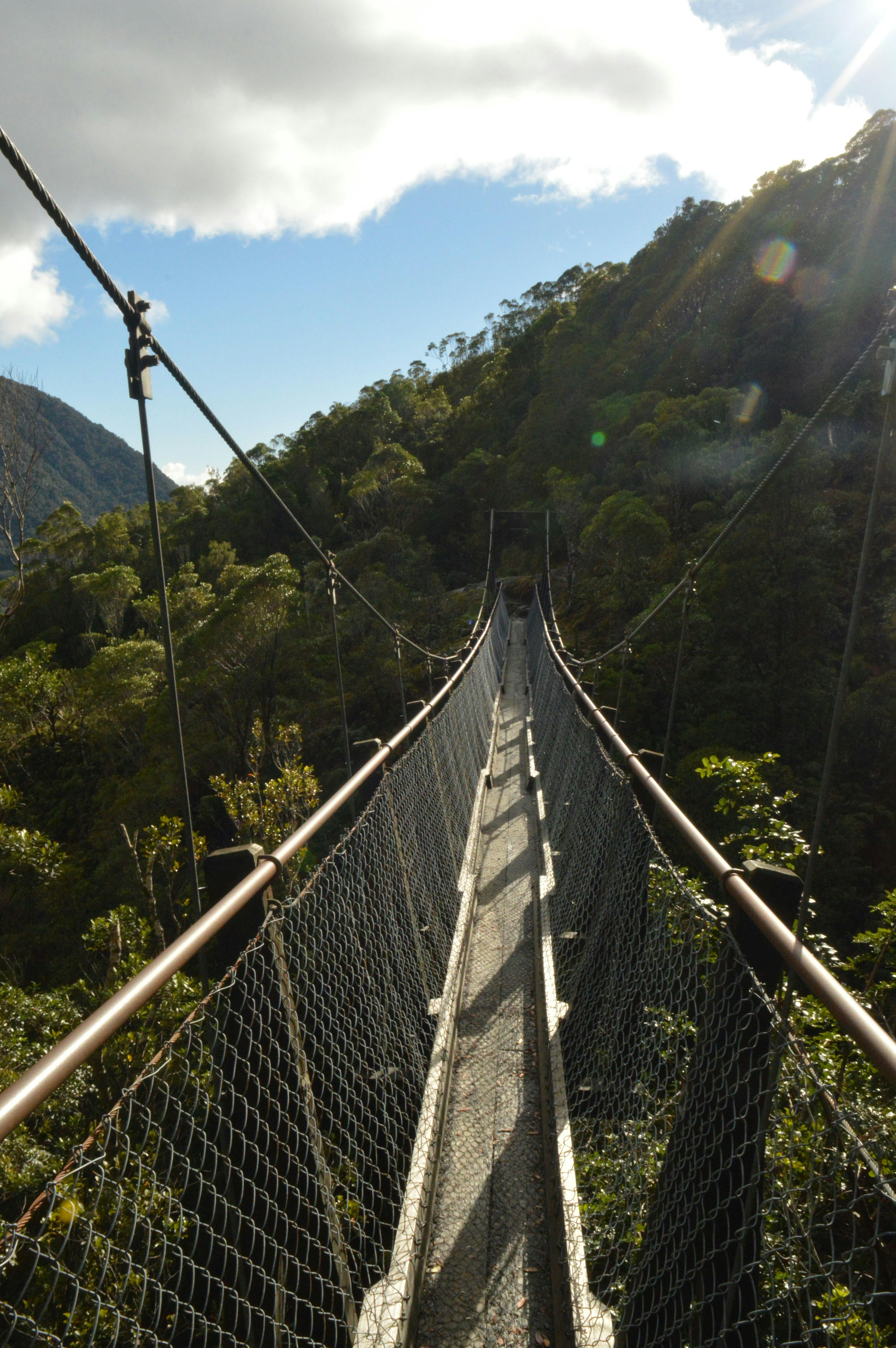 pont suspendu